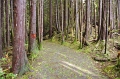 Vancouver Island Pacific Rim NP 'Long Beach - Schooner Trail' 26_09_2011 (4)
